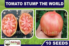 Afbeeldingsresultaat voor stump of the world tomato