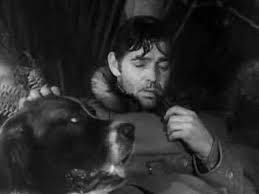 images?q=tbn:ANd9GcSbw23gXQLlHZ4_3wheU6k