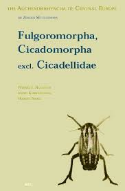 Attēlu rezultāti vaicājumam “Auchenorrhyncha”