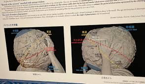 Image result for "アルマゲスト"