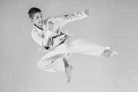 Image result for Aylesbury Vale Seido Karate