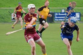 Image result for Patrick Sarsfield Gaelic Athletic Club
