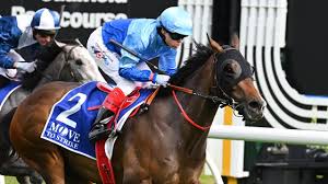 Image result for Thoroughbreds Netball Clubs