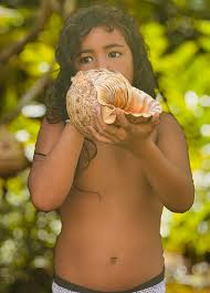 Attēlu rezultāti vaicājumam “Aranei exuvia”