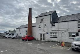 Image result for Llantwit Lions