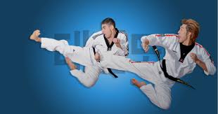 Image result for Bytomic Tae Kwon Do Windsor