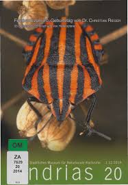 Attēlu rezultāti vaicājumam “Chlorochroa juniperina imago”