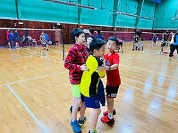 Image result for Plains Badminton Club