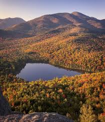 Image result for $$fall_akte__ort$$