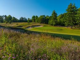 Image result for Kingsley Cricket Club