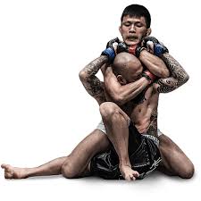 Image result for Full Element Mixed Martial Arts