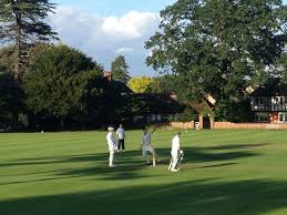 Image result for Wrecclesham Cricket Club