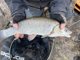 Image result for Plough Angling Society