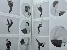 Image result for Kuk Sool Won Of Botesdale