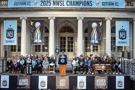 Image result for Gotham Soccer League