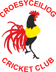 Image result for Croesyceiliog Cricket Club