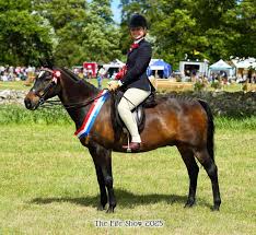 Image result for Fife Riding Club