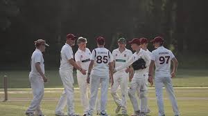 Image result for South Wilts Cricket Club