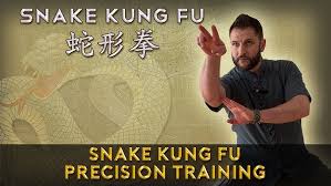 Image result for Precision Martial Arts