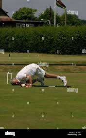 Image result for BUDLEIGH SALTERTON CROQUET CLUB