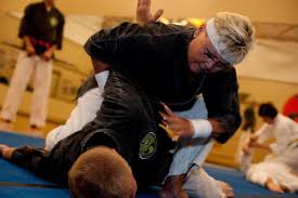Image result for Martial Arts Karate Mesa AZ