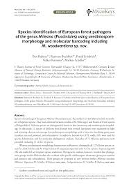 Attēlu rezultāti vaicājumam “Milesina murariae”