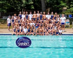 Image result for Downham & District Swimming Club