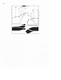 Attēlu rezultāti vaicājumam “Leptophlebia nebulosa”