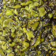 Attēlu rezultāti vaicājumam “Dermatocarpon luridum”