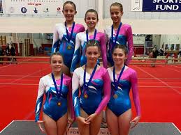 Image result for Forest Of Dean Gymnastics Club