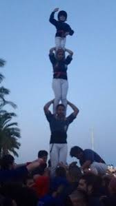 Image result for catalans universals