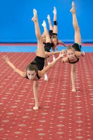 Image result for Sportac 76 Gymnastics Club