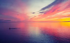 Image result for sunset