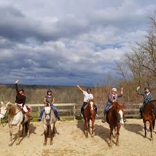 Image result for Annandale Equestrian Centre