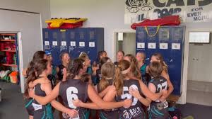 Image result for Wakefield Phoenix Netball Club