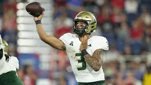 Attēlu rezultāti vaicājumam “Bryum funkii”