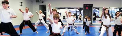 Image result for Hetton and Murton Karate Academy