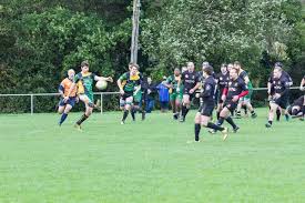 Image result for Barns Green RFC
