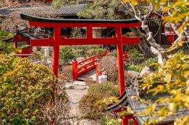 Image result for japanese wedding
