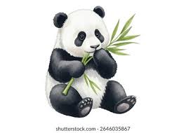 Résultat de recherche d'images pour "pandas"