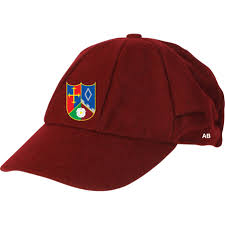 Image result for Grayshott Cricket Club