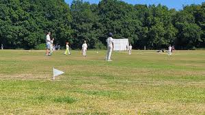 Image result for Abbots Langley Cricket Club