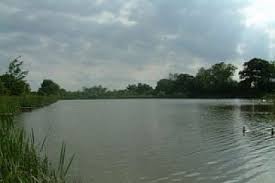 Image result for Plough Angling Society