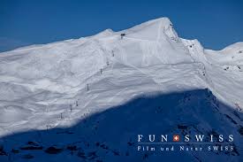 「イルミンガルド・スノーレヴィク」の画像検索結果