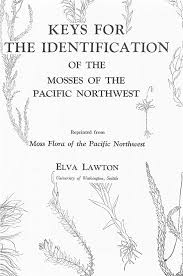 Attēlu rezultāti vaicājumam “Pseudobryum cinclidioides cells”