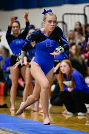 Image result for Thornton Sport Gymnastics