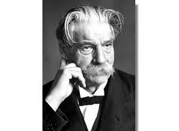 Image result for albert schweitzer