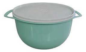 Image result for bacía