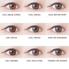 「ネオサイトワンデーシエル」の画像検索結果