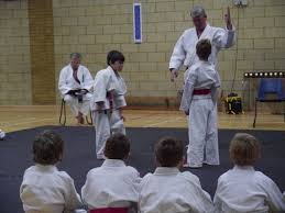 Image result for Seiki Juku Karate Organisation
